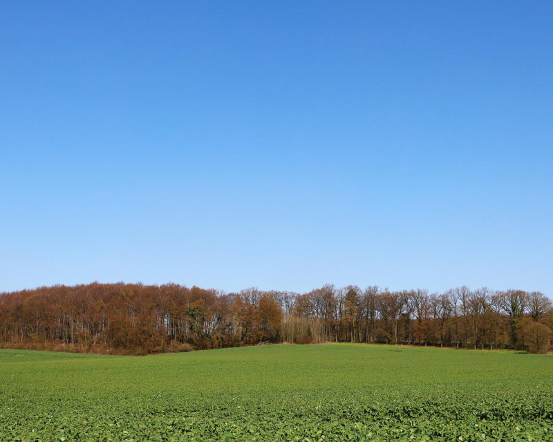 Read Article: What is a Greenfield Site?