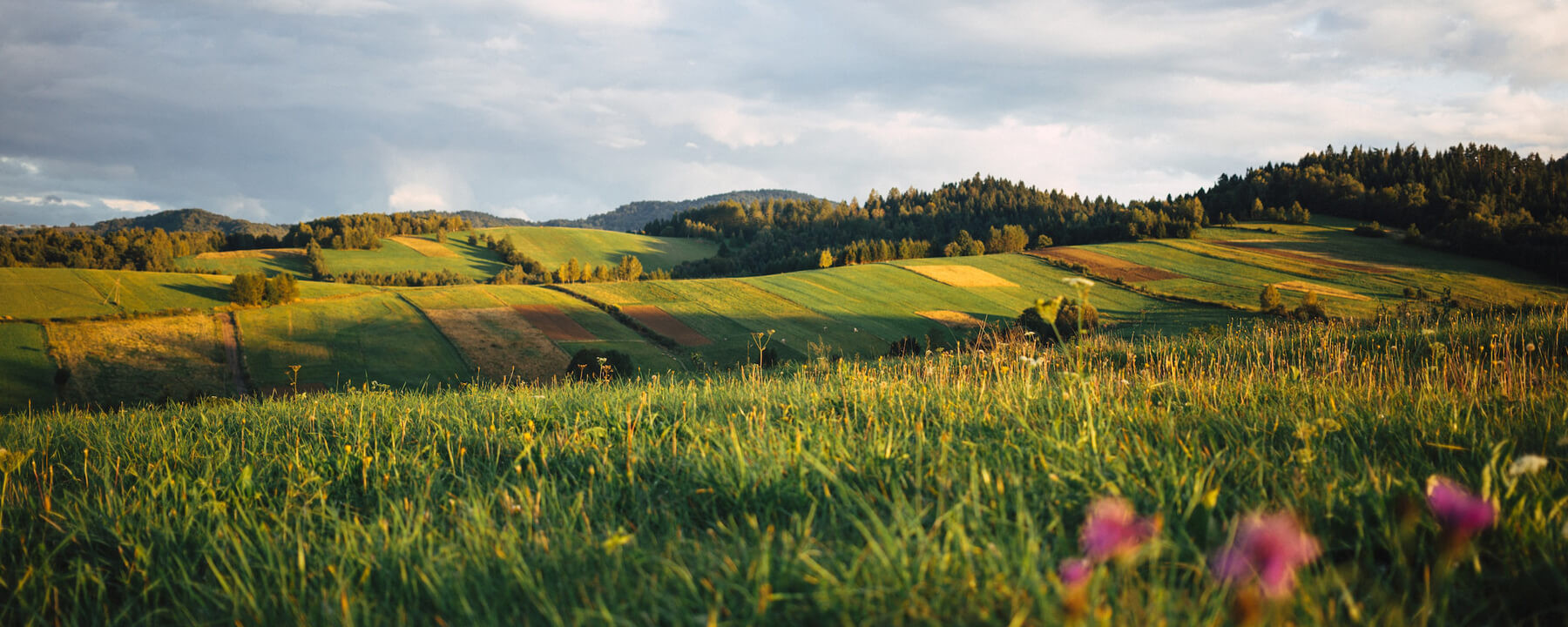 Rolling green fields under a cloudy sky